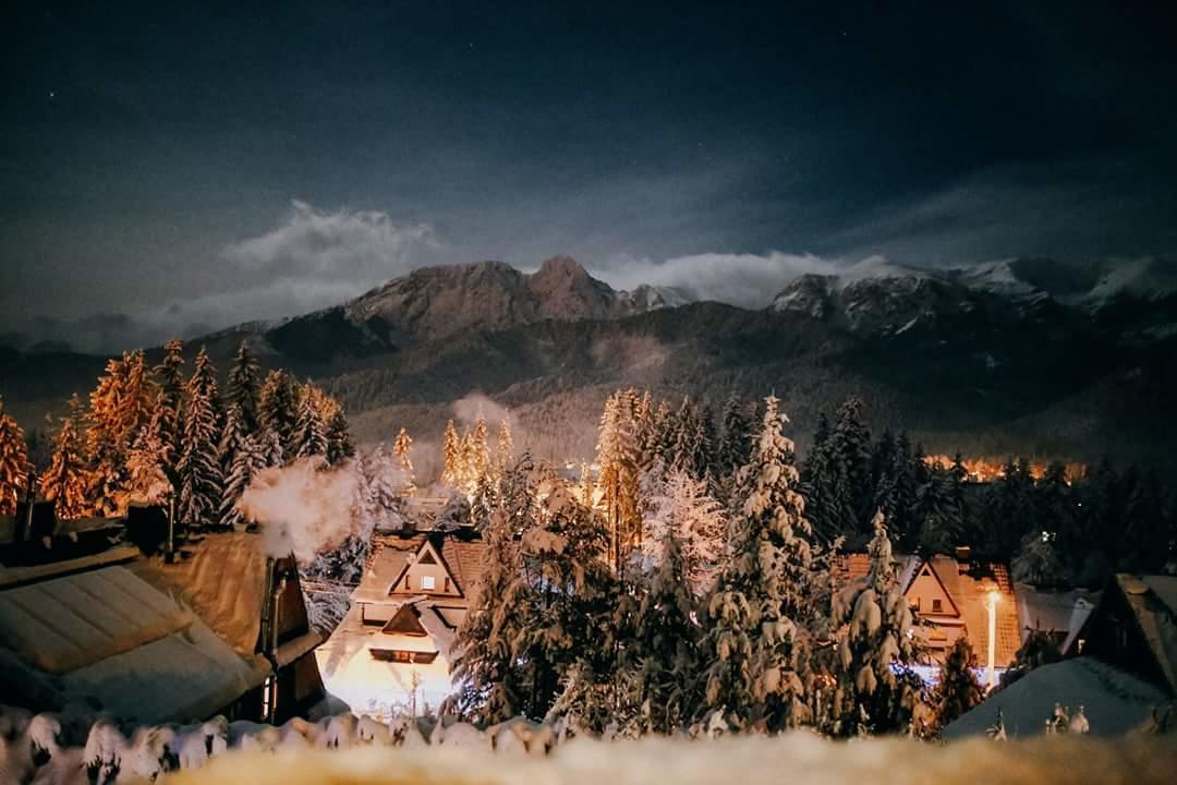 Willa 14 Zakopane Eksteriør billede